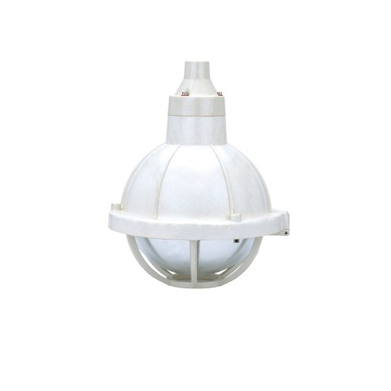 BAD51-200增安型防爆防腐燈(e)